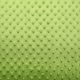 Minky Fleece Dark Lime