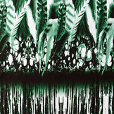 Tricot Lycra Plumas Groen