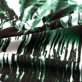 Tricot Lycra Plumas Green