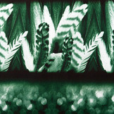 Tricot Lycra Plumas Green