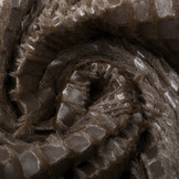 Fur Snake Foil Shiny Bruin