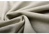 Rib Fabric 8 W Corduroy Beige