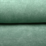 Rib Fabric 8 W Corduroy Old Green