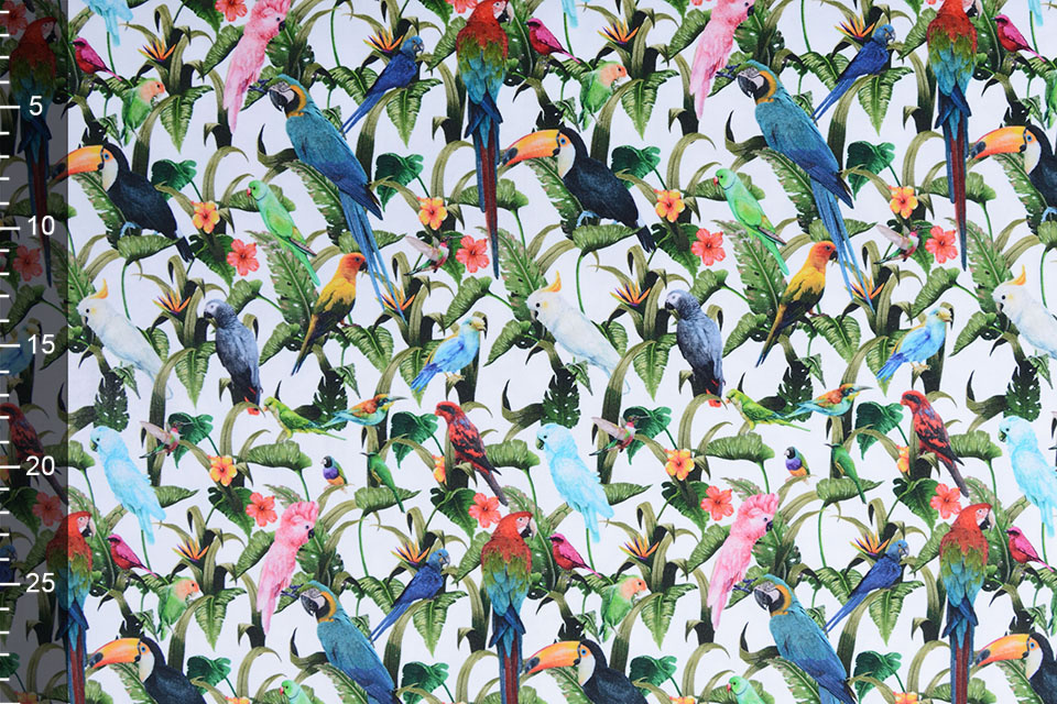 Cotton Jersey Jungle Parrots