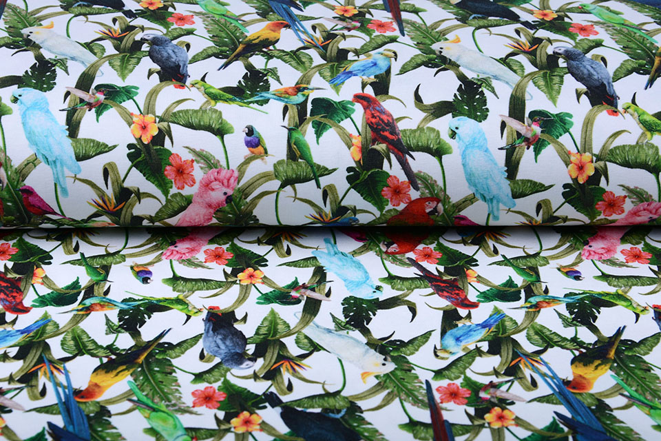 Cotton Jersey Oerwoud Papegaaien