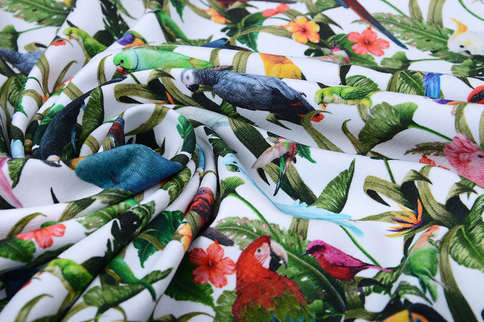 Cotton Jersey Oerwoud Papegaaien