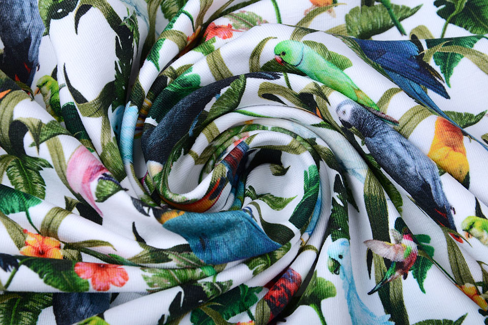 Cotton Jersey Jungle Parrots