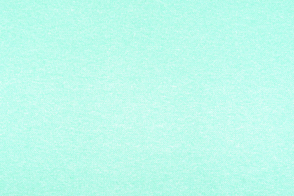 French Terry Sweatshirt Fabric Mint Green Melange