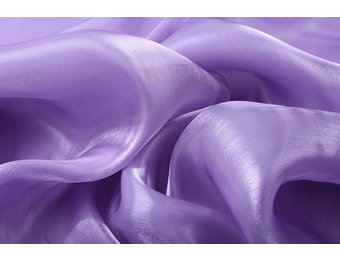 Koreanische Seide Dunkelflieder