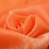 Korean Silk Fluor Oranje