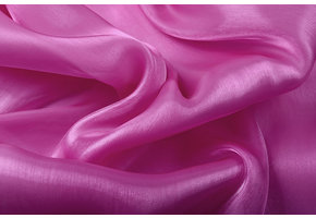 Korean Silk Cyclamen