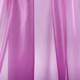 Korean Silk Cyclamen