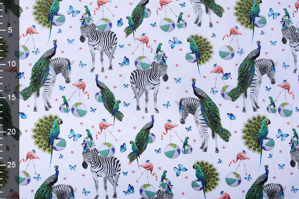 Cotton Jersey Zebra Peacock
