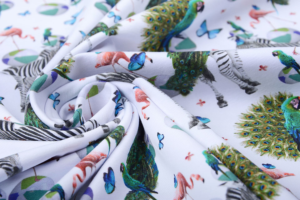 Cotton Jersey Zebra Peacock