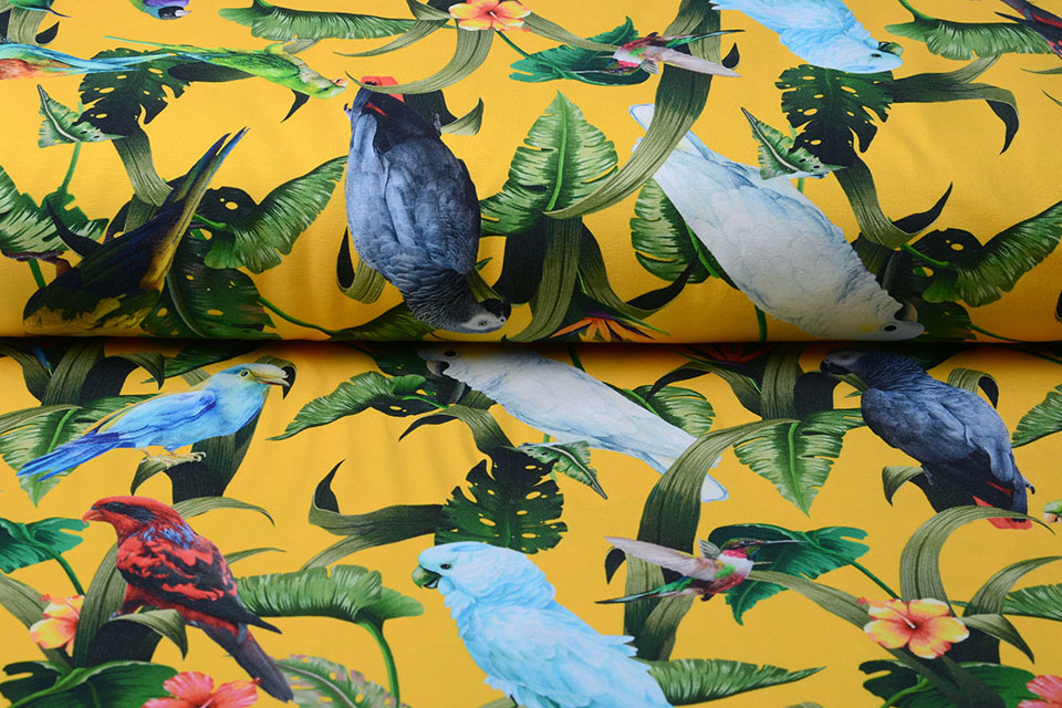 Cotton Jersey Jungle Parrots Large Yellow
