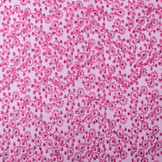 Mesh Geborduurd Ster Bloem Fuchsia