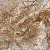 Lurex Kant Juliette Champagne