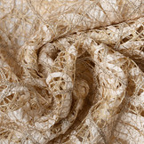 Lurex Spitze Juliette Champagne