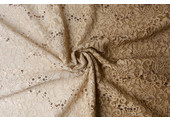 Embroidered Lace 2-Gradient Sequins Lexi Sand Beige