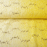Geborduurd Kant 2-Verloop Pailletten Lexi Geel