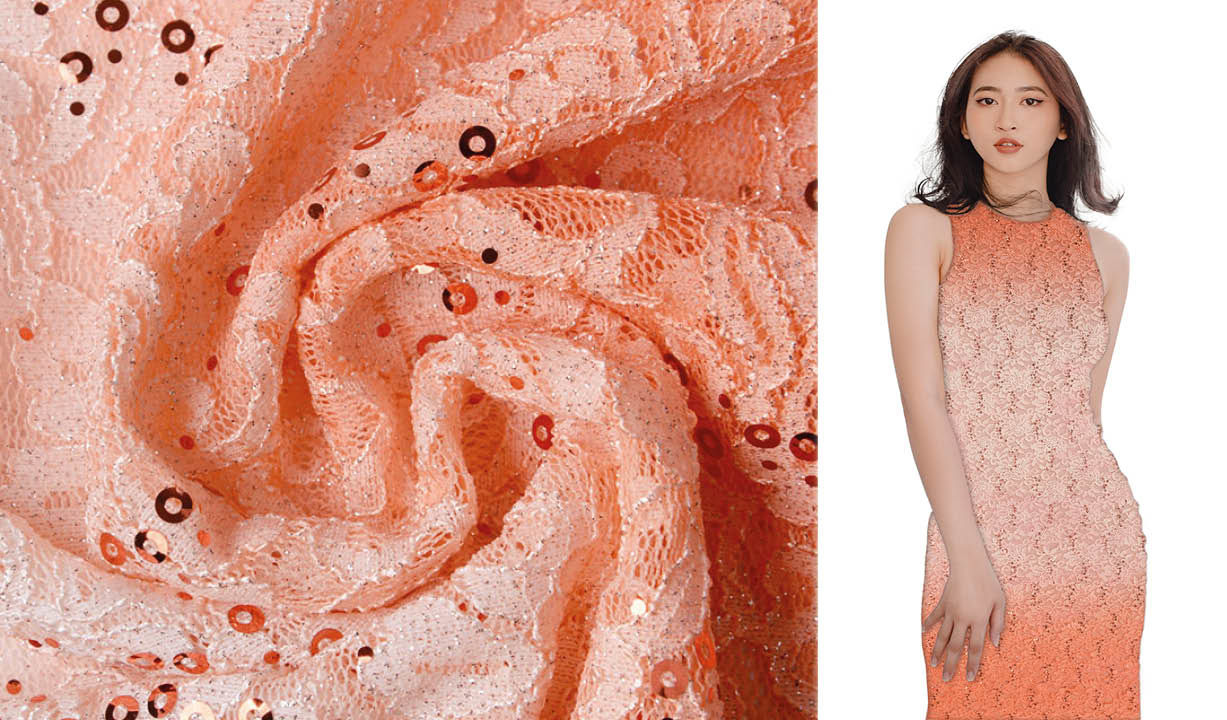Embroidered Lace 2-Gradient Sequins Lexi Salmon