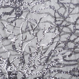 Mesh Sequins Carmen Grey