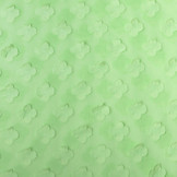 Stitched Chiffon Charlize Light Green