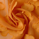 Stitched Chiffon Charlize Orange