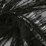 Mesh Geborduurd Pailletten ZigZag Zwart