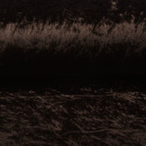 Velours de Panne Donker Bruin