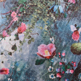 Roses Fur Bloemen Blauw