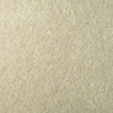 Wavy Curly Teddy Beige