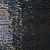 Fur Crocodile Rainbow Foil Black