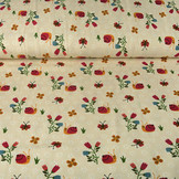 Cotton Jersey Gastropoda Creme