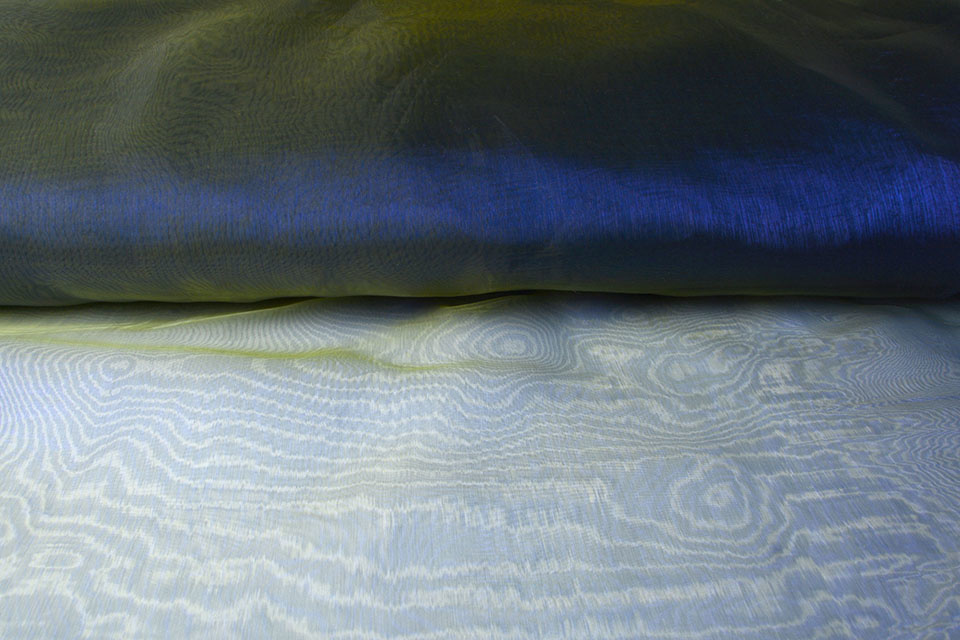Organza Two-Tone Blue-Yellow