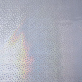 Printed Raincoat Fabric Holographic