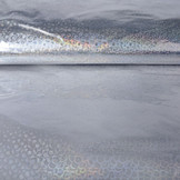 Printed Raincoat Fabric Holographic