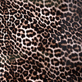 Printed TPU Raincoat Fabric Panther Print