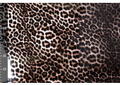 Printed TPU Raincoat Fabric Panther Print
