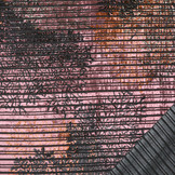 Velvet Rib Tess Old Pink