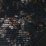 Velvet Rib Shirley Anthracite