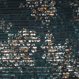 Velvet Rib Hailey Petrol