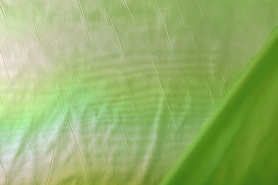 Neon Folie Groen