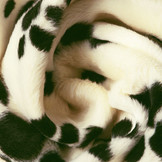 Velboa Dog Paws Off-White
