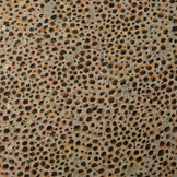 Chiffon Foil Panther Swipes Beige