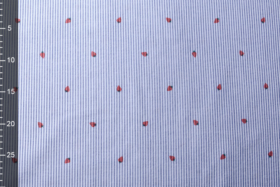 Seersucker Stripes Strawberry