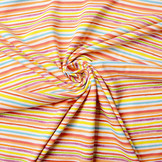 Organic Baumwolljersey  Streifen mehrfarbig