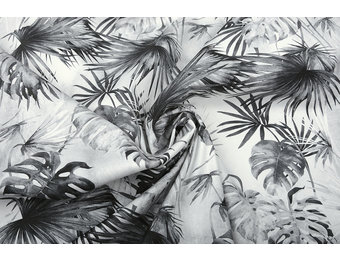 Baumwoll-Stretch Palmeira