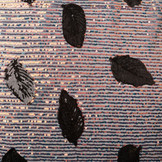 Sequins on Mesh Feather Black