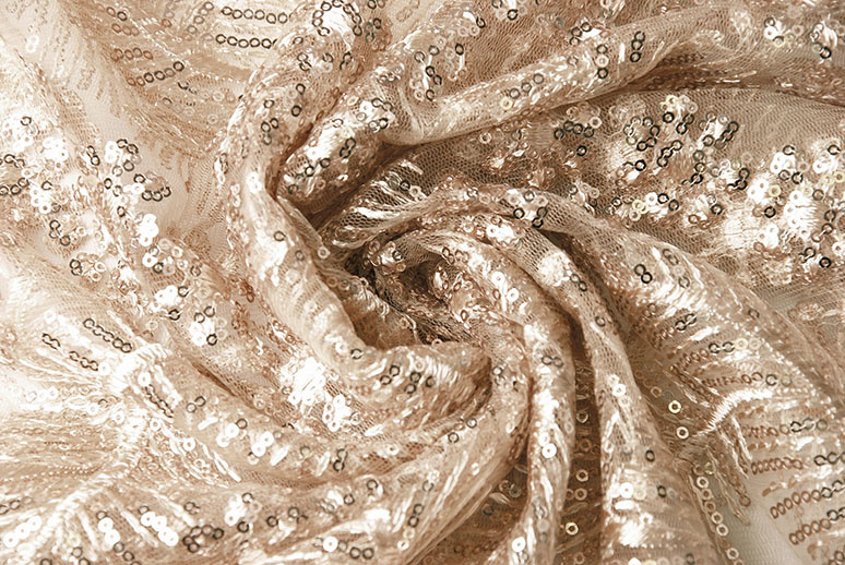 Mesh Embroidered Sequins Lina Champagne